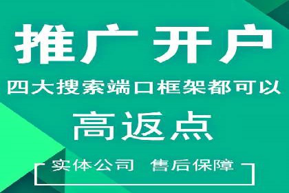 竞价广告投放技巧：如何提高转化率——案例分析